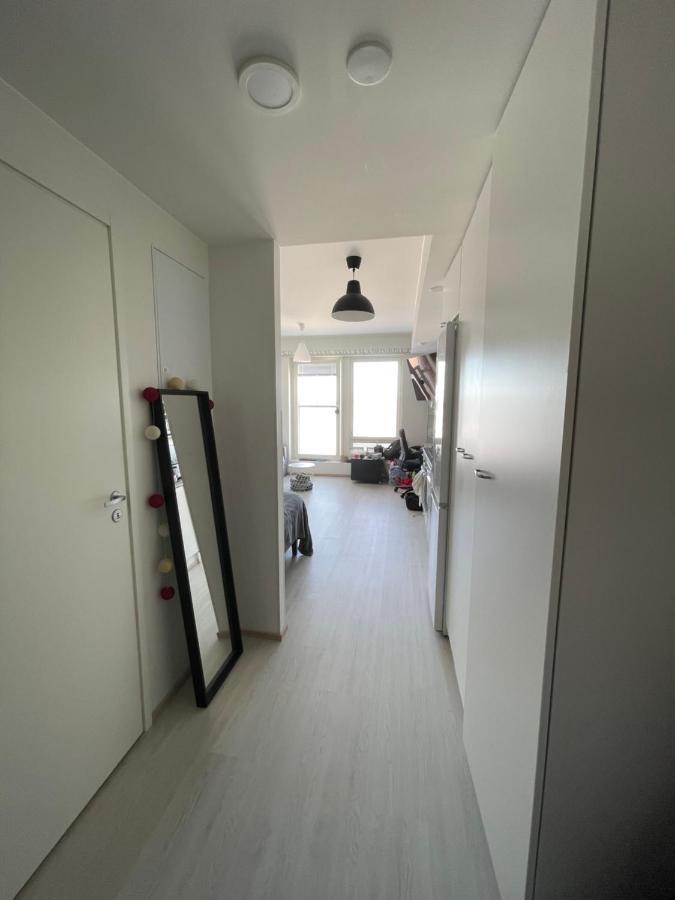 Arctic Penthouse Studio With Free Parking And High-Speed Wi-Fi Rovaniemi Eksteriør billede