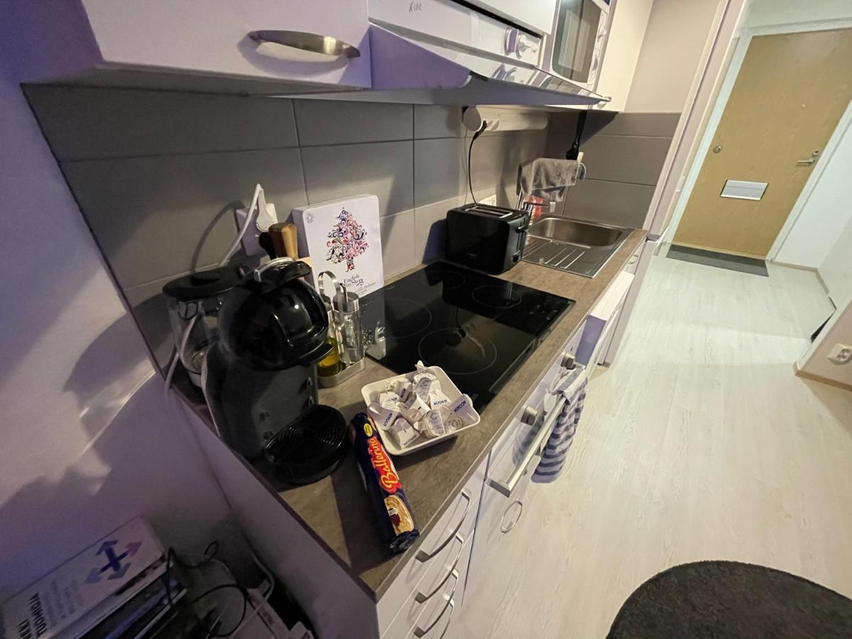 Arctic Penthouse Studio With Free Parking And High-Speed Wi-Fi Rovaniemi Eksteriør billede