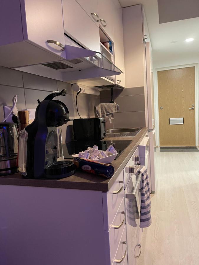 Arctic Penthouse Studio With Free Parking And High-Speed Wi-Fi Rovaniemi Eksteriør billede